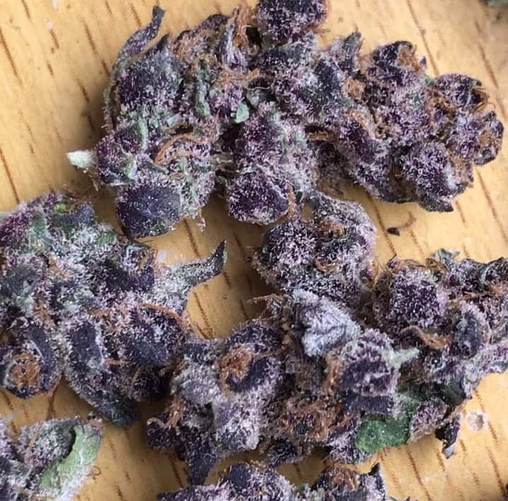 LeónMagico 420 tweet media