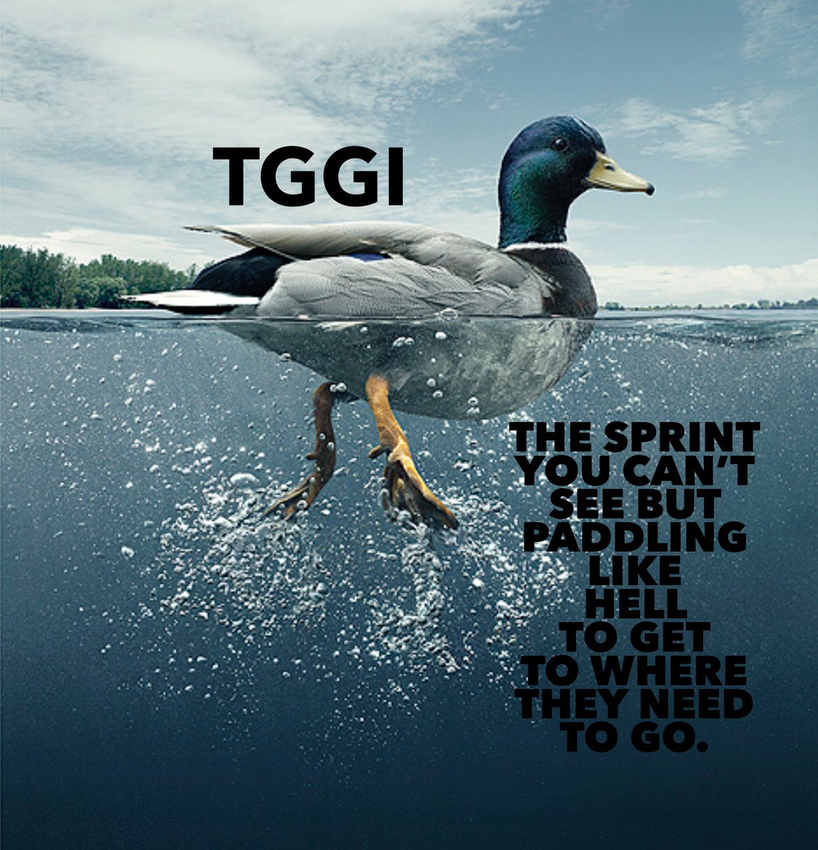 CJRomig's tweet photo. The best analogy I could come up with… $TGGI #NotIfButRen https://t.co/anVe19HvzF