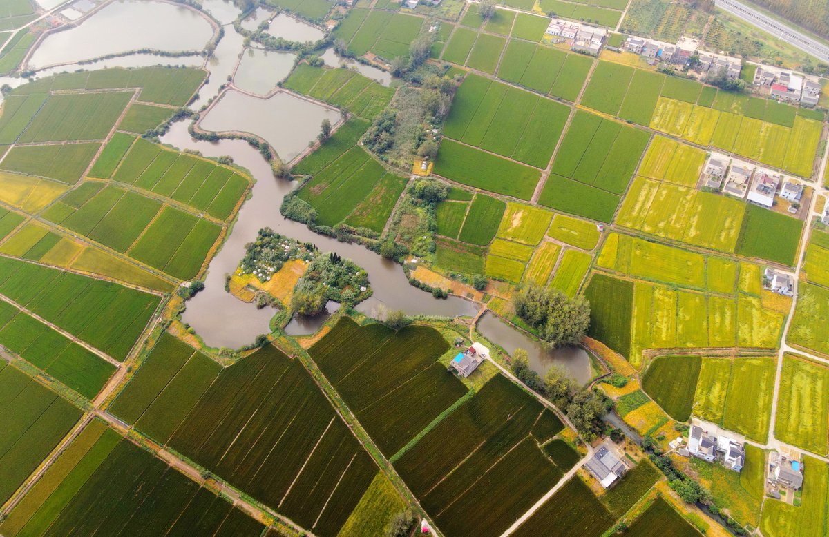 Jiangsu, China tweet media