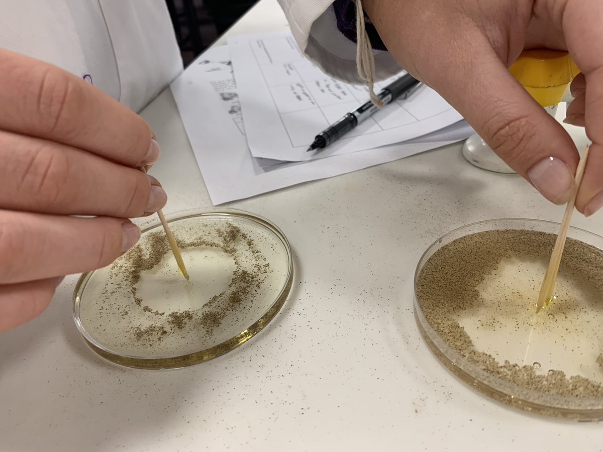 BeckRSaunders's tweet image. #IB #Biology #Topic2 #PropertiesOfWater  Oil v water v ethanol