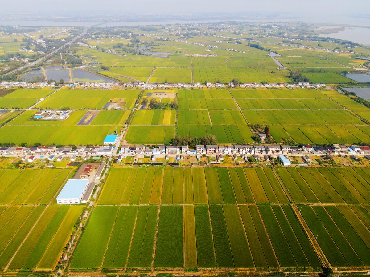 Jiangsu, China tweet media