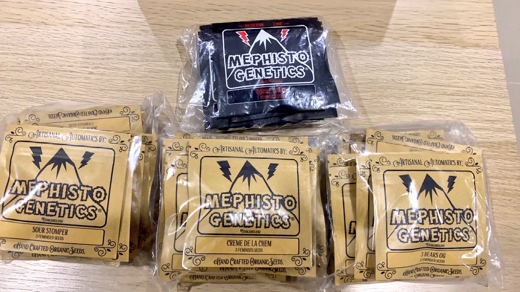 Siam Seeds tweet media