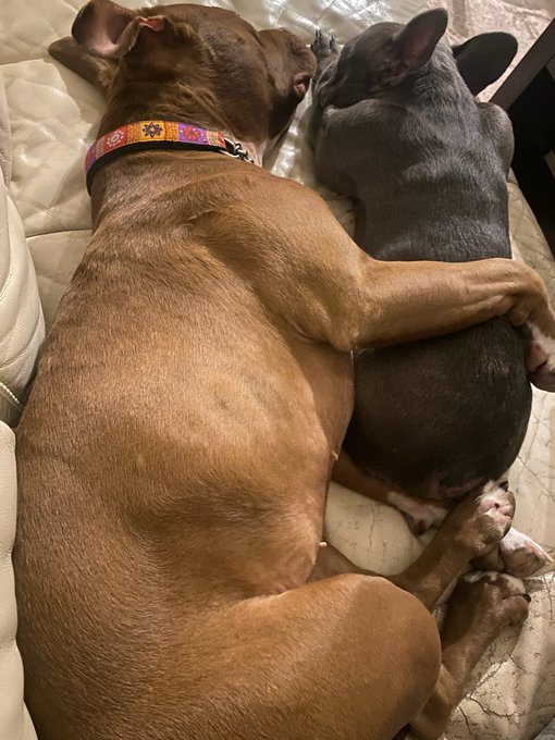 Tuesday mood 💙 https://t.co/qp7POaY0Pa<a href="/tag/httr"class="tags"><span>#httr</span></a>