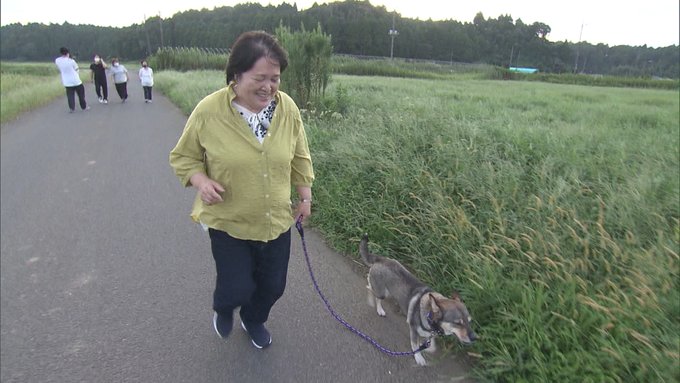 探偵 ナイトスクープの詳細 関連ニュース Tverプラス 最新エンタメニュース