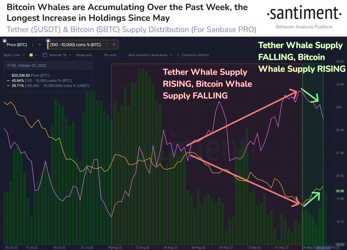 SantimentData's tweet photo. 🐳 #Bitcoin whales are showing signs of sustained accumulation, which has been a rarity in 2022. Since September 27th, addresses holding 100 to 10k $BTC have collectively added back 46,173 BTC back to their wallets as large $USDT holdings have dropped. https://t.co/v6oUduVux1 https://t.co/8JGDC0g5a9