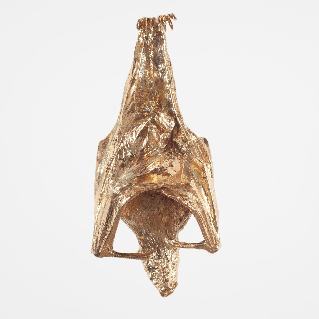 You’re invited | Exhibition opening of Looking at Gold - 15 October at 2pm - mailchi.mp/casulapowerhou…