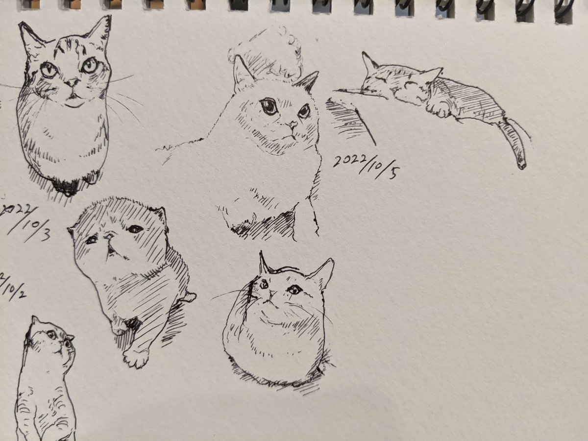 今日はテレビとネットと太陽光の立ち会いよ〜 カキカキ。 