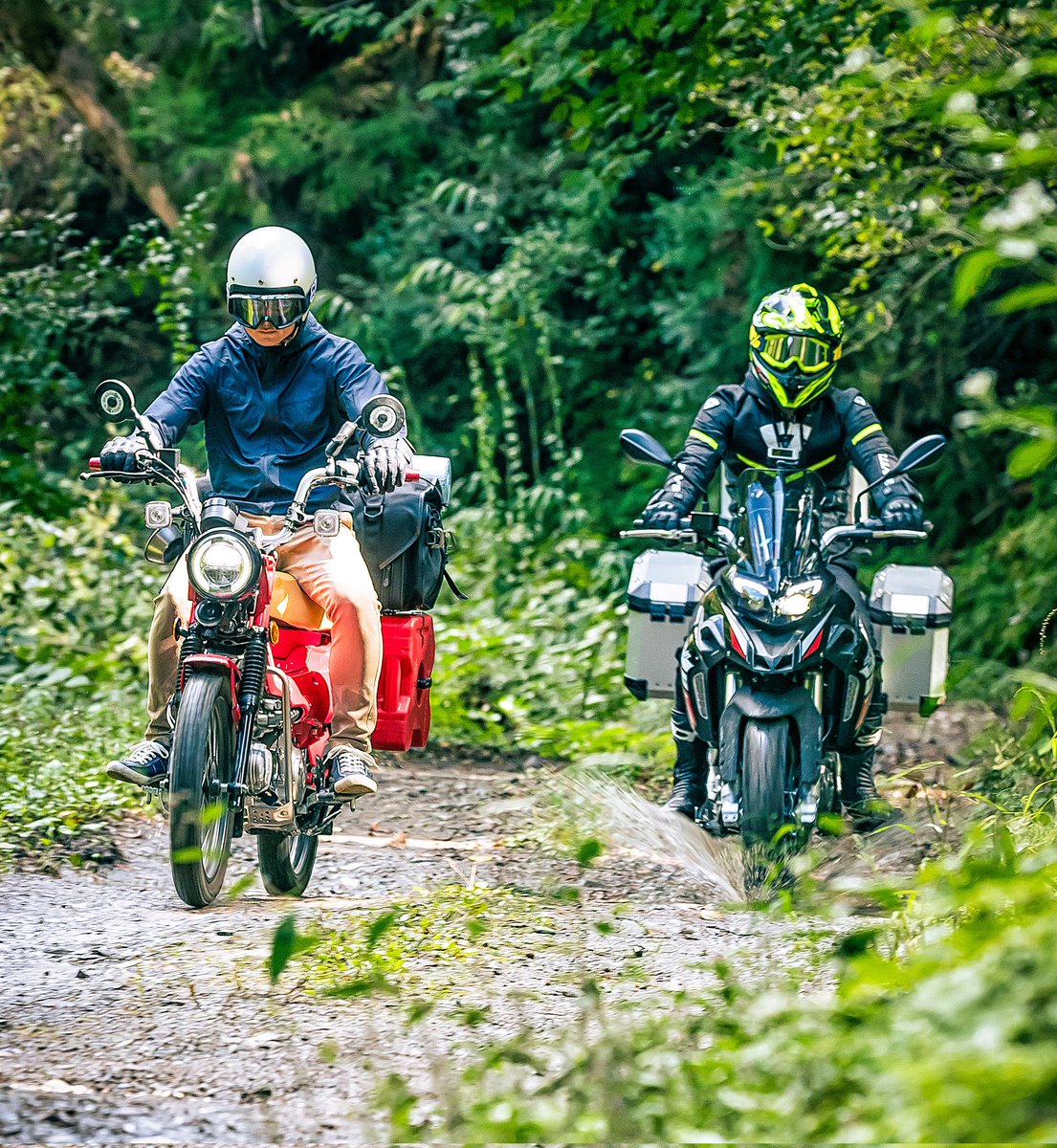 aso_vehicle's tweet photo. 自然を駆け抜ける。至福の一時。
#ct125 #huntercub #rotopax #menabo #rightlinegear #ハンターカブ #バイク好き #キャンプツーリング #ロトパックス #ハンターカブct125 #ハンターカブカスタム #プロト #ネオプロト #outdoorあそびーくる #あそびーくる @plot_p2 @plot_touring https://t.co/FiFgJoPxfm