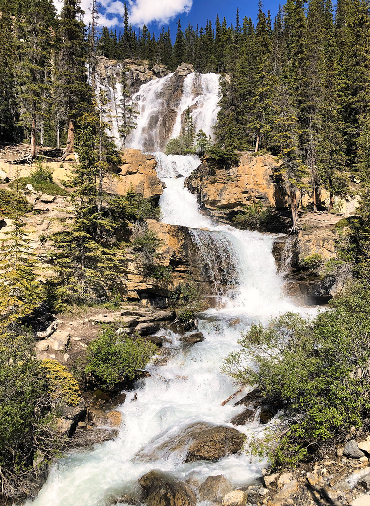 ToshioK's tweet photo. Tangle Falls in Jasper National Park in Canada https://t.co/z82uN9acPZ #photography #travel #TangleFalls #waterfalls #river #IcefieldsParkway #JasperNationalPark #Alberta #Canada #nature #mountain #rocks #trees #forest https://t.co/nix4RGg4Vy