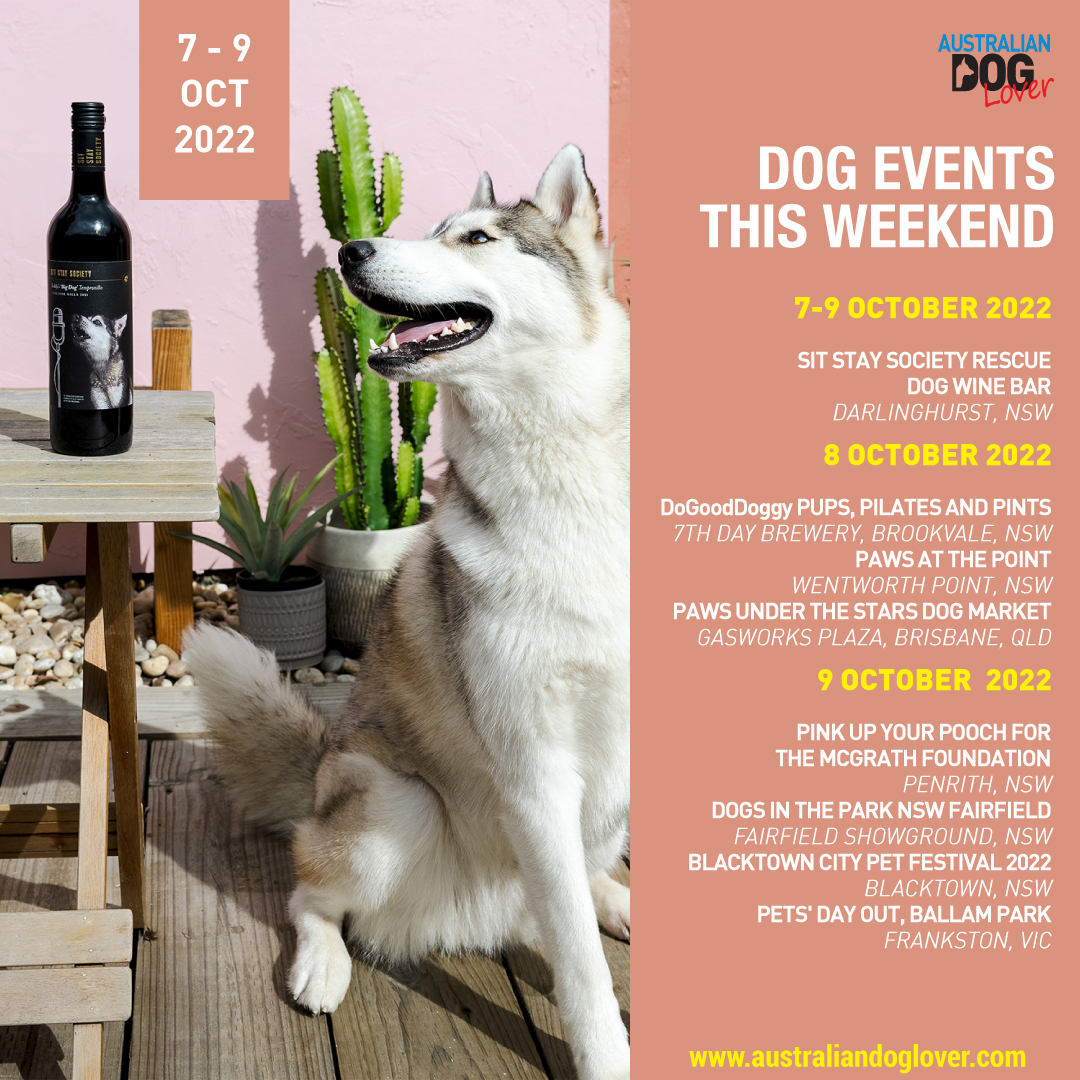 OzDogLover's tweet photo. How do you get over #humpday? By planning the weekend with your #dog! 😉
Markets, Festivals, Fundraisers across Australia. Visit https://t.co/C3JZ70Xg1q for the 2022 Calendar.
💡 Learn more under 𝗗𝗢𝗚 𝗘𝗩𝗘𝗡𝗧𝗦 at https://t.co/rIZ7U0vJ1R
#dogeventsaustralia #notwithoutmydog https://t.co/OugU95ut1v