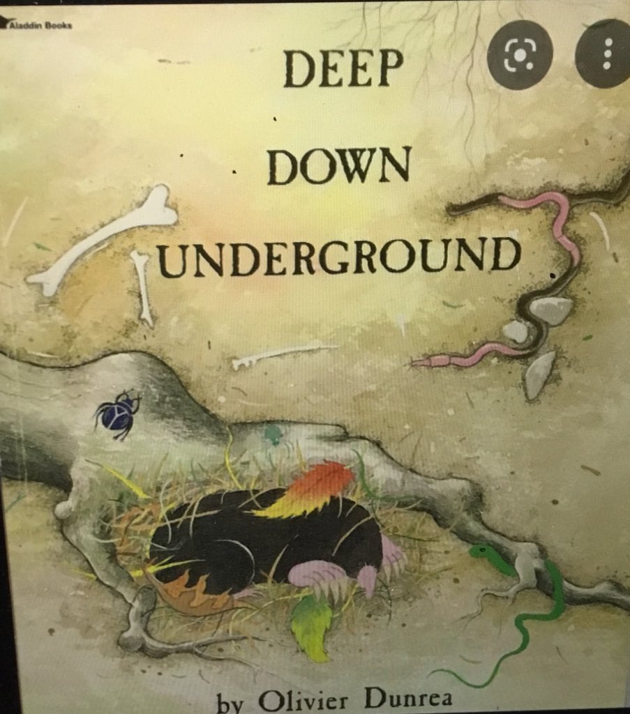 HTS_Mrschan's tweet photo. We read #deepdownunderground to extend our mathematicians’ understanding of patterns. They created their own growing patterns and labeled them. https://t.co/YVreWk25q3