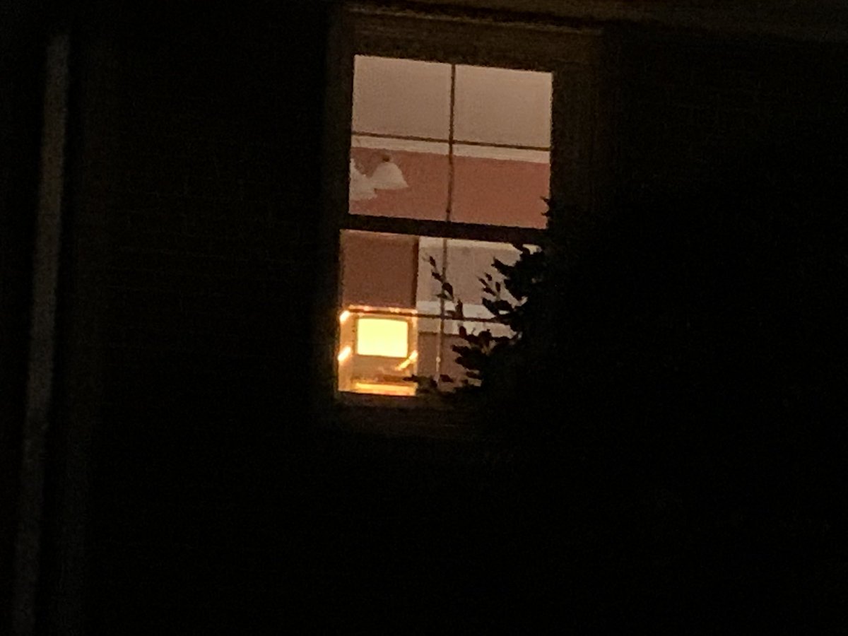 Joe's Proud Computer Museum 🌈 tweet media