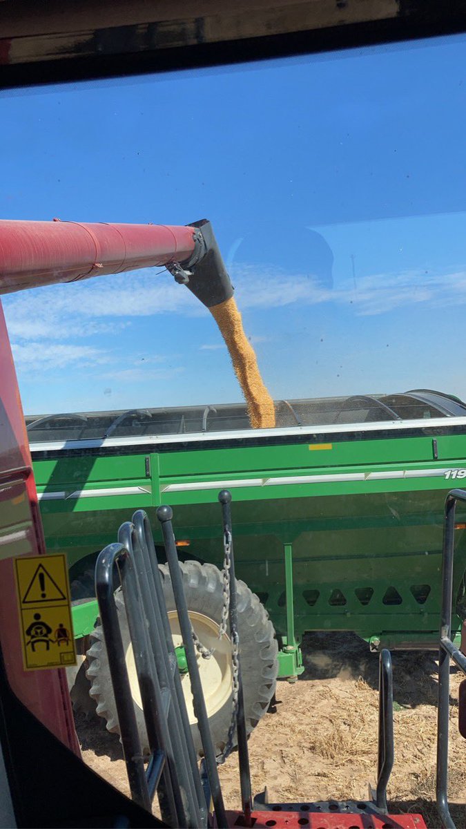 DaneBrorman_23's tweet photo. As long as i can remember it’s always been my dream to be a farmer. Today i cut my first corn crop as a 4th generation farmer (in the US). The best part about it may have been my soon to be farm wife bring dinner and ride along. I am by far the luckiest guy in the world! https://t.co/Y6ZWzRGsRd