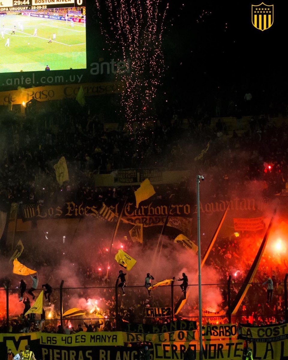PEÑAROL tweet media