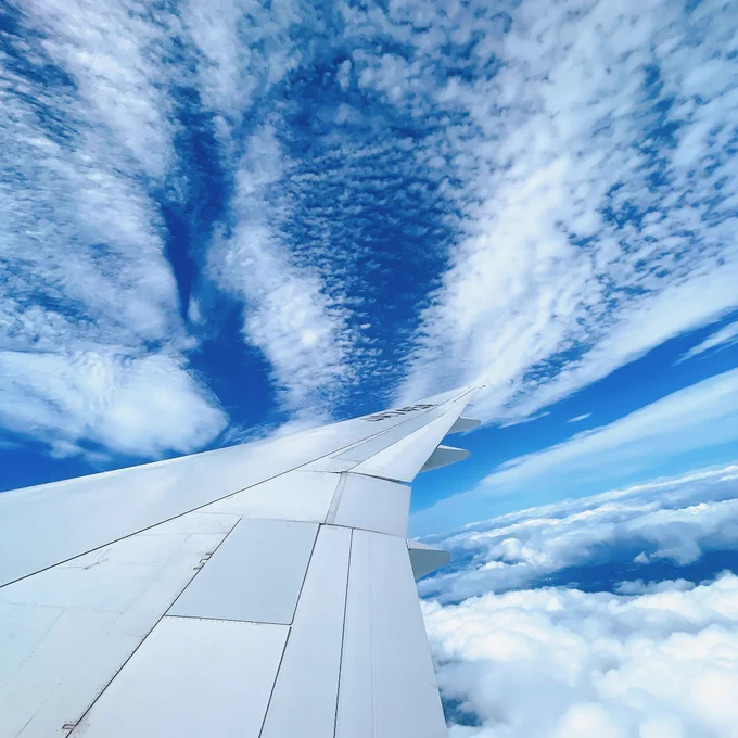 推しカプが青空のなかを羽ばたいている 素晴らしい 見事だ 至高の領域に近い 