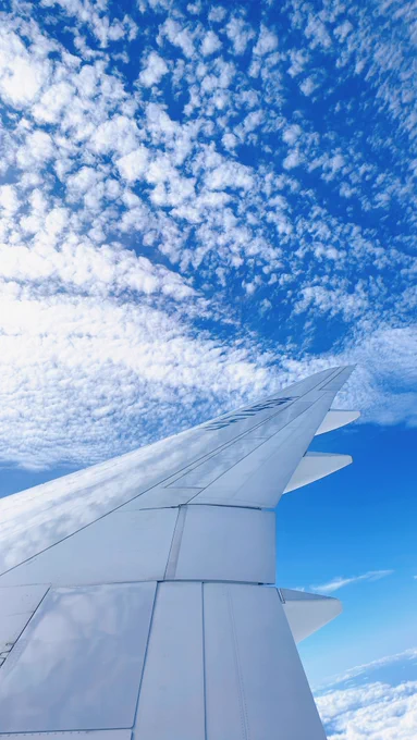 推しカプが青空のなかを羽ばたいている 素晴らしい 見事だ 至高の領域に近い 