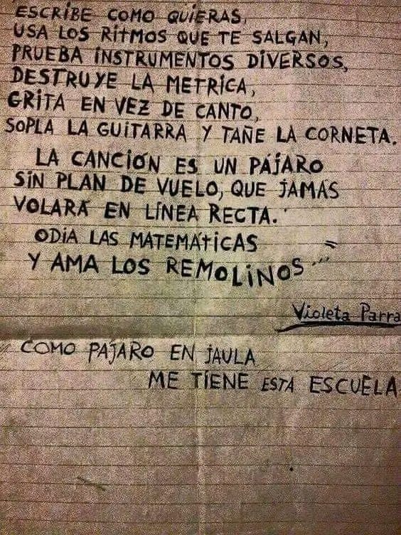 anale28's tweet photo. Odia las matemáticas y ama los remolinos. La canción  es un pájaro sin plan de vuelo, que jamás volará en línea recta" #VioletaParra  Nacida un 4 de Octubre https://t.co/b8h1UDvUzO