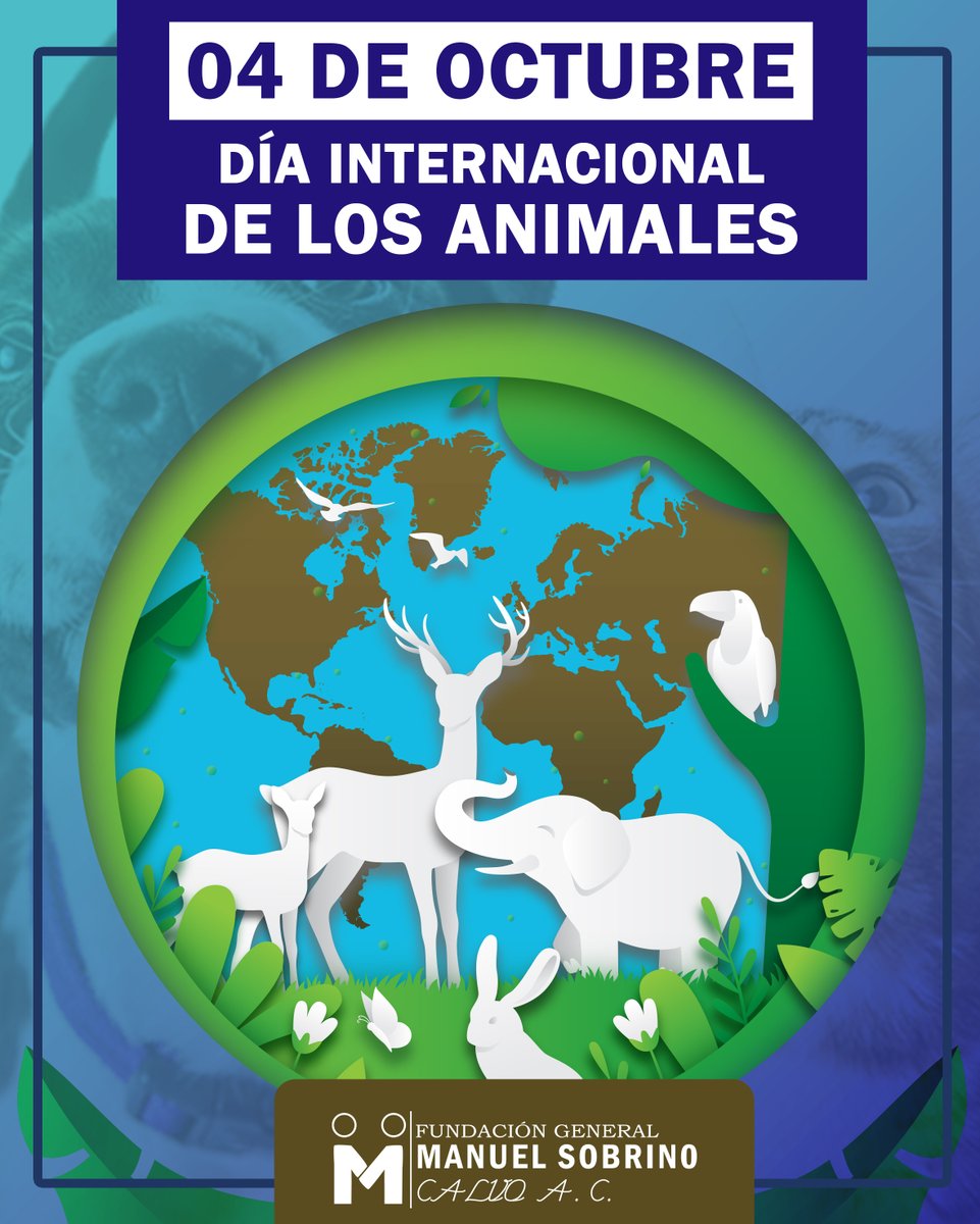 FundacionGMSC's tweet photo. Estoy a favor de los derecho de los animales, al igual que del derecho de los humanos. Ese es el camino de un ser humano.
  -Abraham Lincoln- https://t.co/SLvnnOeKBw