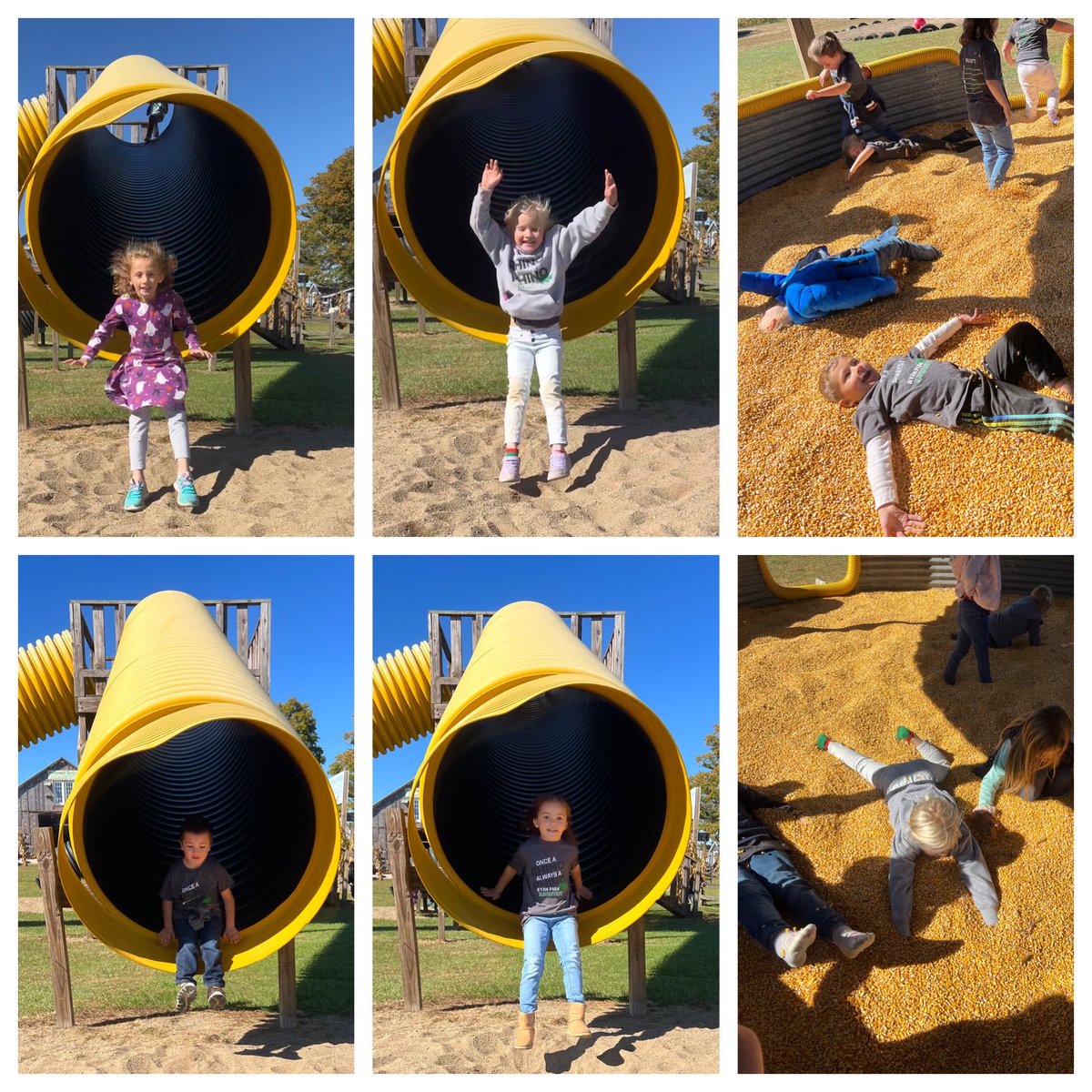 hartmankinder's tweet photo. Field Trip Day!! Kindergarten had a blast at Stroh’s Apple Orchard and Ridenour Acres! The joy really shows on the last picture! #APride https://t.co/S74fGv88vW