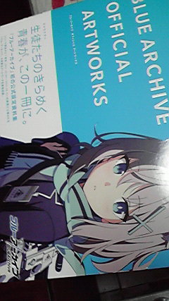 ブルーアーカイブのやつとどいた 