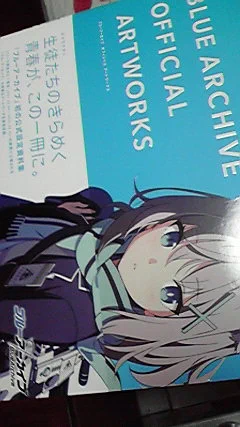 ブルーアーカイブのやつとどいた 