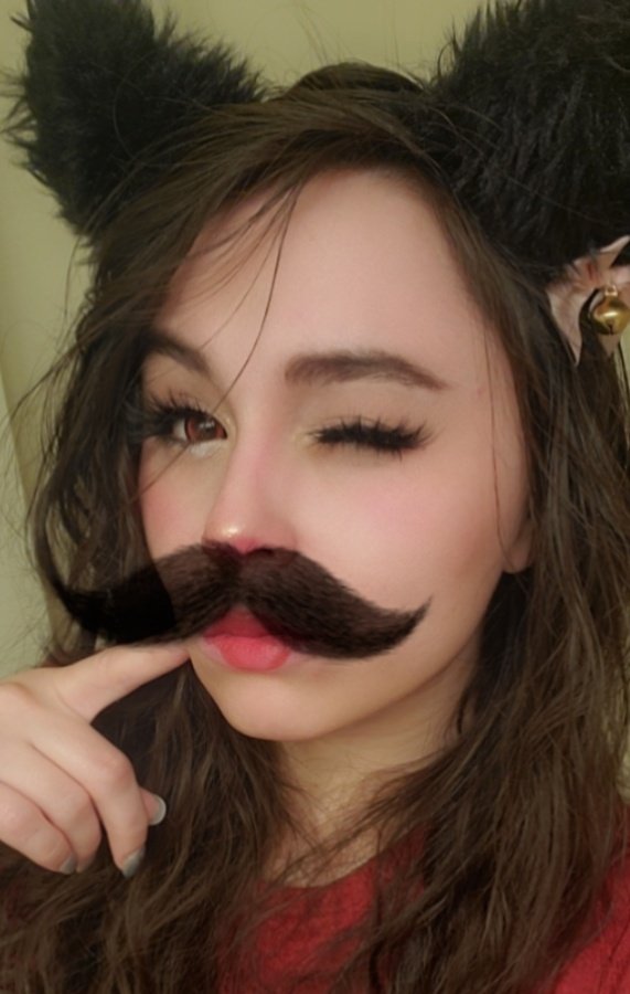 Sincerelylink's tweet photo. I mustache you a question...
ARE YOU HECKING READY FOR MY RETURN TO STREAMING?! I know I am 😭❤️😭❤️😭 https://t.co/VlDEiukwZR