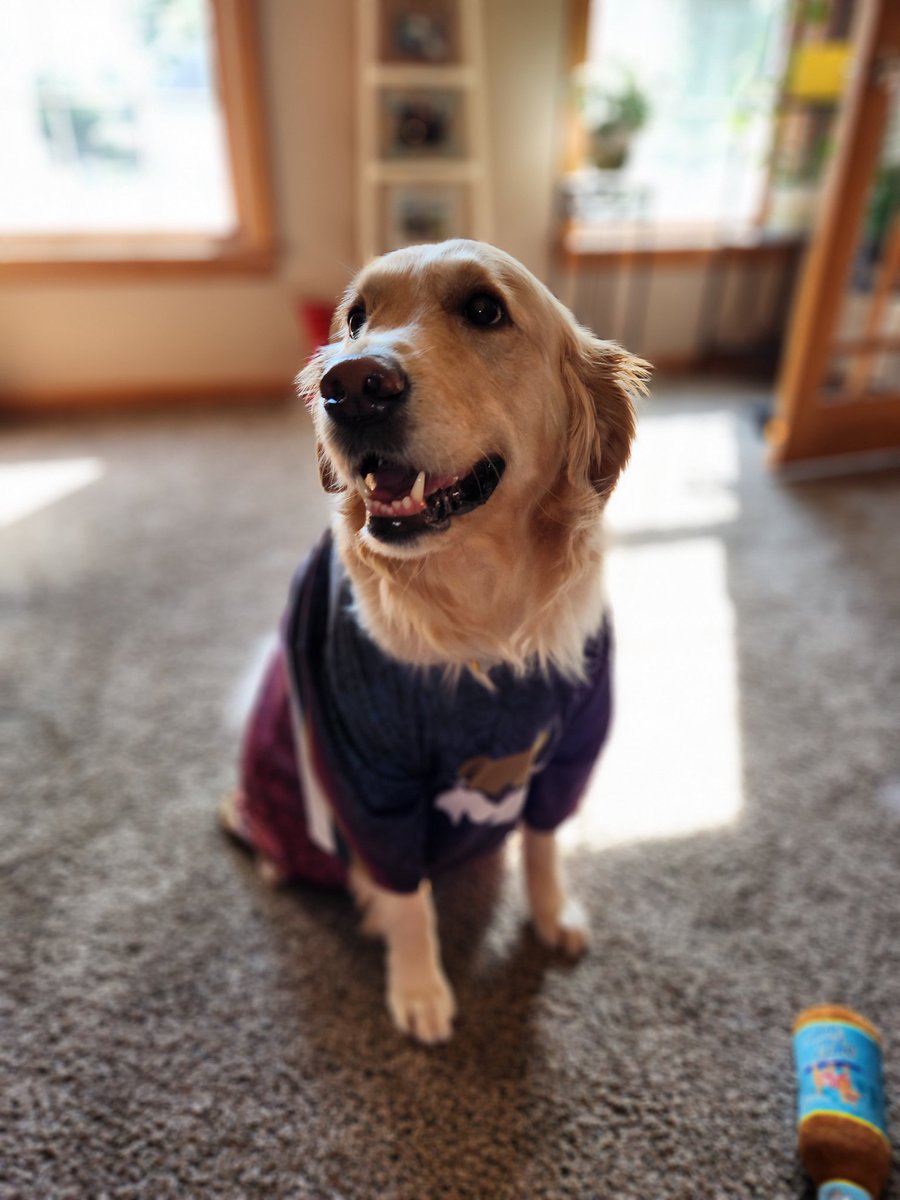 Mastodon Ultimate tweet media