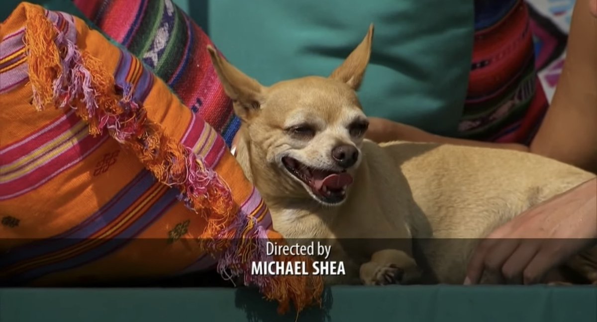 jenlafren's tweet photo. Official petition for Nacho to join the beach  #BachelorInParadise https://t.co/WQ5lTXBzEt