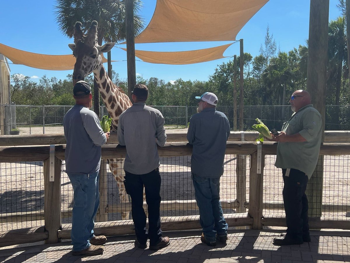 #FPLRocks #FPL #SoThankful We are so thankful to our Florida Power & Light friends! After six days without power, almost all of the Zoo has power! We asked this group of hard-working men to take a break and feed the giraffes.  #CollierCourage #NaplesZoo