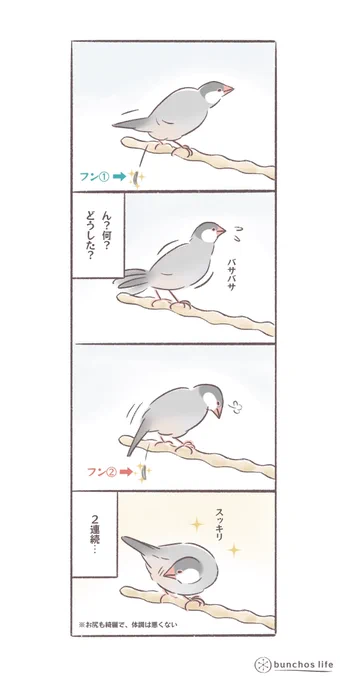 相当我慢していたものと思われる…
#文鳥 
#bunchoslife 
#4コマ漫画 