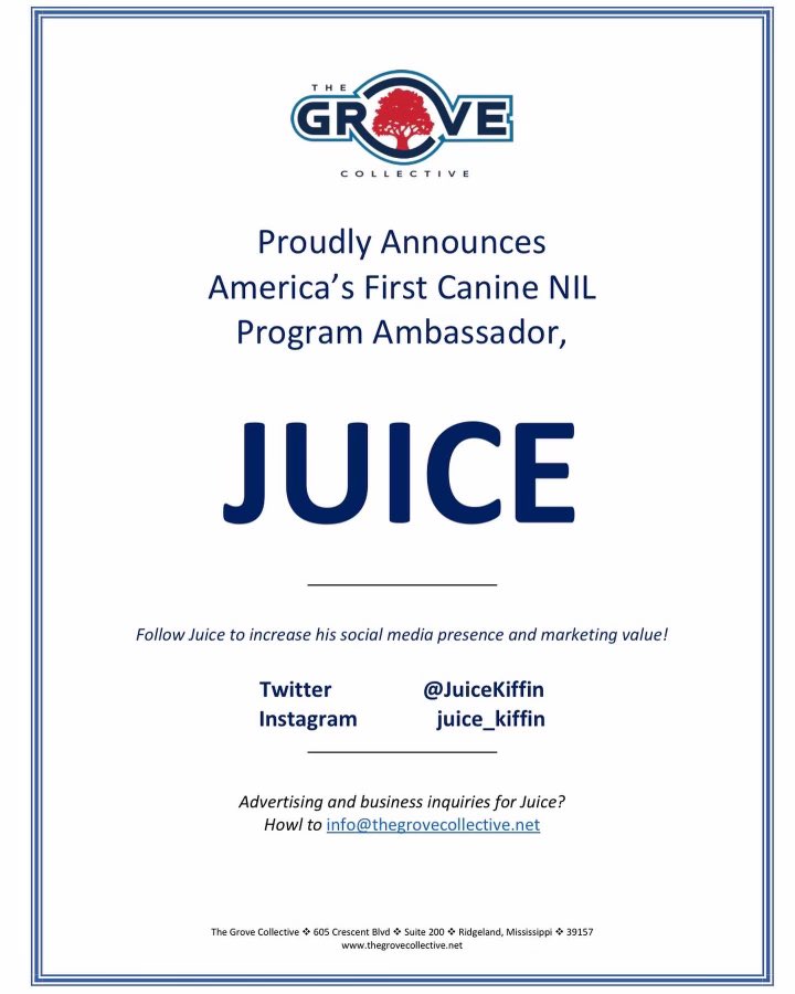 The Grove Collective tweet media