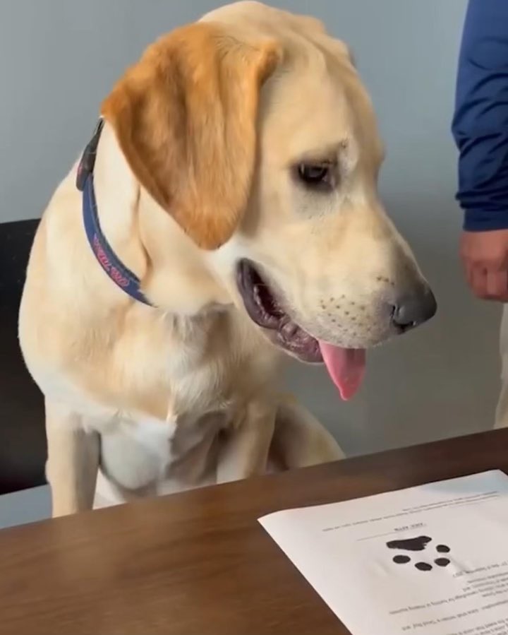 JUICE and Grove Collective make history – a small step for Man, a giant leap for Canines!  Almost didn’t get this NIL Agreement done – JUICE is a tough negotiator!  Welcome to Grove Collective <a href="/JuiceKiffin/">Juice Kiffin</a> ! Dog biscuits for days!!! Hotty Toddy! 🐾🦴<a href="/Lane_Kiffin/">Lane Kiffin</a>