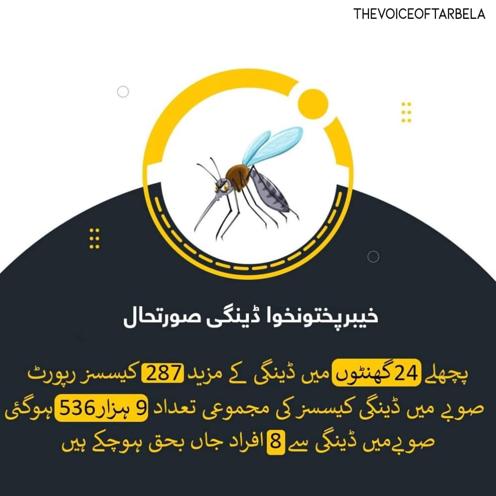 itsdimplequeeen's tweet photo. خیبرپختونخوا ڈینگی صورتحال
پچھلے 24گھنٹوں میں ڈینگی کے مزید 287 کیسسز رپورٹ
صوبے میں ڈینگی کیسسز کی مجموعی تعداد 9 ہزار536 ہوگئی۔ صوبےمیں ڈینگی سے 8 افراد جاں بحق ہوچکے ہیں
#KP360Updates #KP360 #KPGovt #khyberpukhtaun360 #peshawar #kpupdates #CleanGreankp #KyaAapJanteHain https://t.co/xKnf4q1E0N