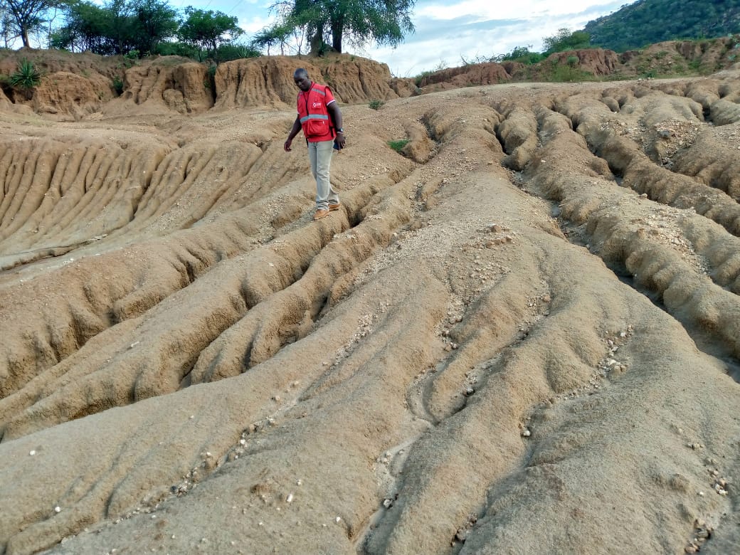 BushZacharry's tweet image. Land degradation due to soil erosion is one of the challenges some West Pokot communities are experiencing... This usually occurs when a prolonged drought is followed by heavy rainfall, all top fertile soil are washed away as seen in this picture on your way to Kacheliba..