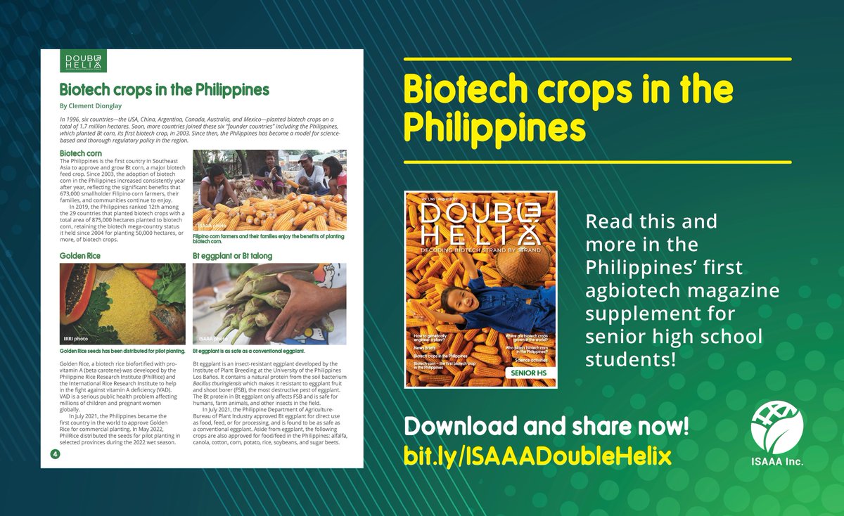 isaaa_org's tweet photo. What are the biotech crops approved for commercial planting in the Philippines? What biotech crops are near commercial approval? Find out in this article in Double Helix: https://t.co/3ognFX7WBU
#ISAAADoubleHelix #DoubleHelixMag #BiotechCorn #GoldenRice #BtEggplant #STEM https://t.co/0By6mhAG0Z