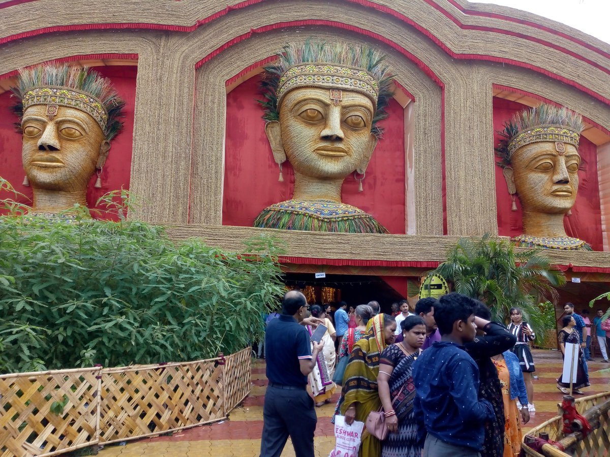 krishna_mangrov's tweet photo. I was glad to find this Sesbania bispinosa being displayed on a Kolkata Durga Puja with theme of tribal life. This is Dhanicha legume being used as green manure for the symbiotic N fixers in its root nodules #indigenous know-how #durgapuja themes https://t.co/OgzXq034S6