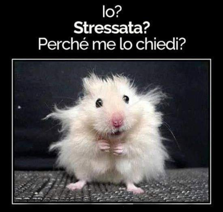 Marina (@benissimova) on Twitter photo 