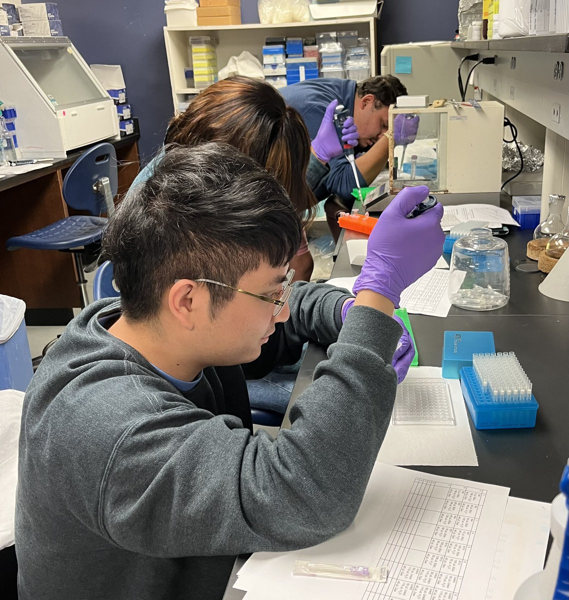 KriWillett's tweet photo. Bradford Assay Day in our Methods Grad class - I always love watching our #medchem students pipetting 😜 who will have the best std curve R2?!? #Etox #PHCL #PCOG ??? @OleMissBMS https://t.co/WVpAKKeioK