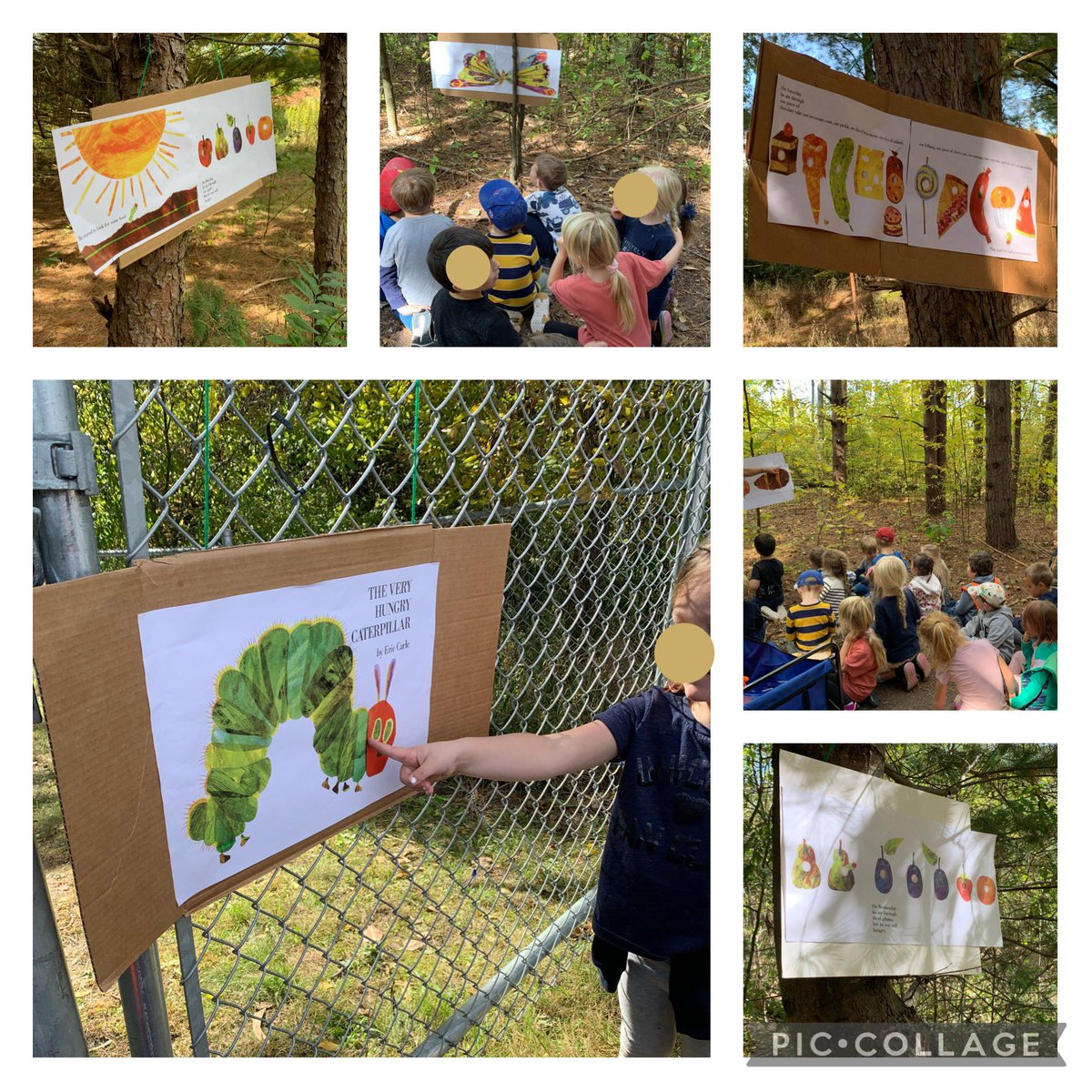 GlendaBensonSPS's tweet photo. Students in KMB had the opportunity to participate in a Story Walk in the Learning Forest @StirlingPS today.  All kinder classes followed the story of the Hungry Caterpillar and there were even some surprises along the way !!#learningforest #kindergartenfun #thankyouKHT https://t.co/bjBoK5SWws