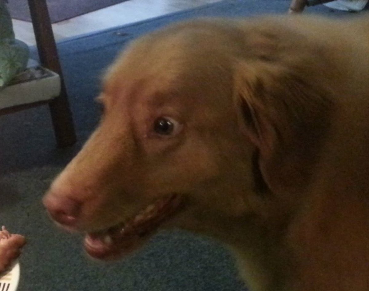 hellgars's tweet image. 