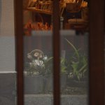 Pierre ENDOのツイート画像