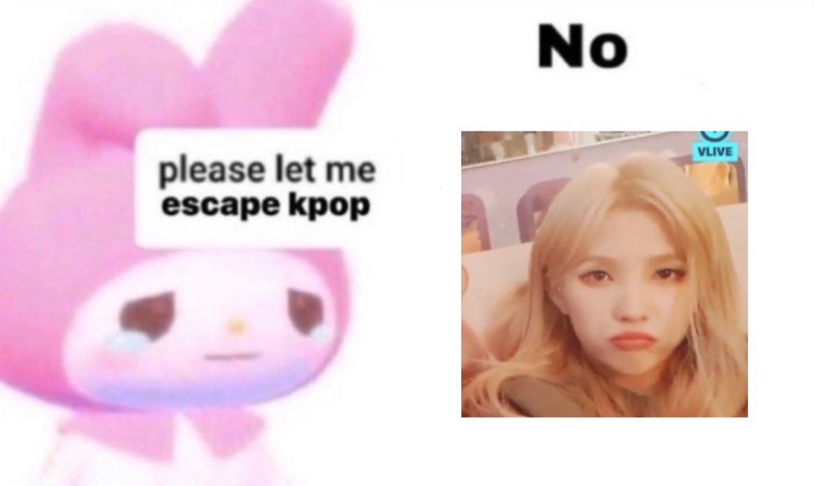 soyeonbrain's tweet image. 