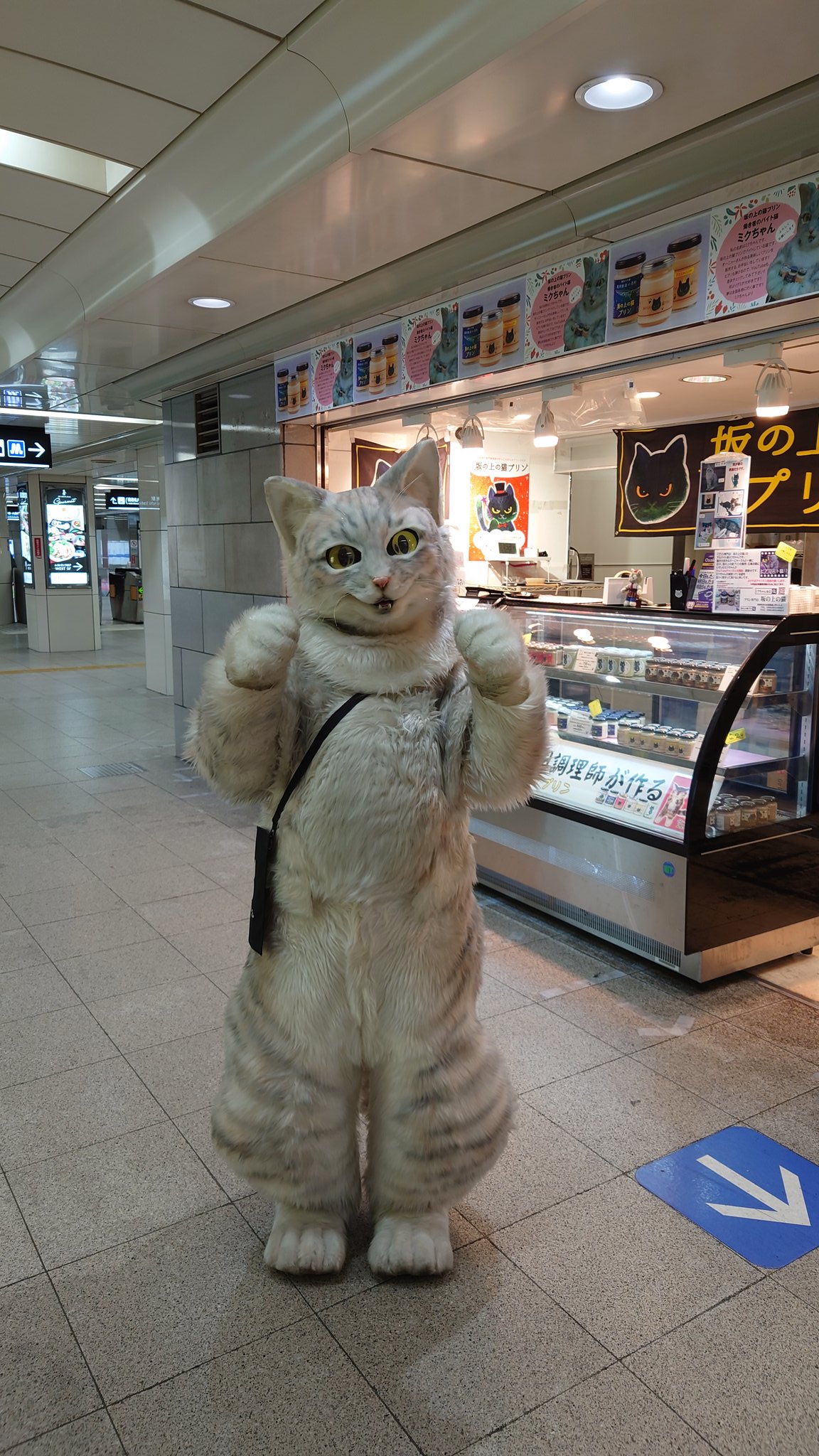 プリン専門店 坂の上の猫 源田 晃一 公式 おはようございます 大阪地下鉄西梅田駅北口にて出店してまーす 大阪は涼しい朝です 本日も21時00分まで頑張りますので宜しくお願いします 大阪西梅田駅 坂の上の猫プリン ミクちゃん T Co