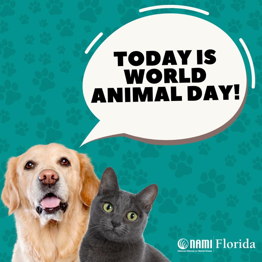 Today, October 4th, is World Animal Day and we wanted to celebrate as animals and animal therapy is sometimes an important avenue for recovery for those living with a mental health diagnosis.

counseling.org/about-us/8-thi…

#worldanimalday #animalassistedtherapy