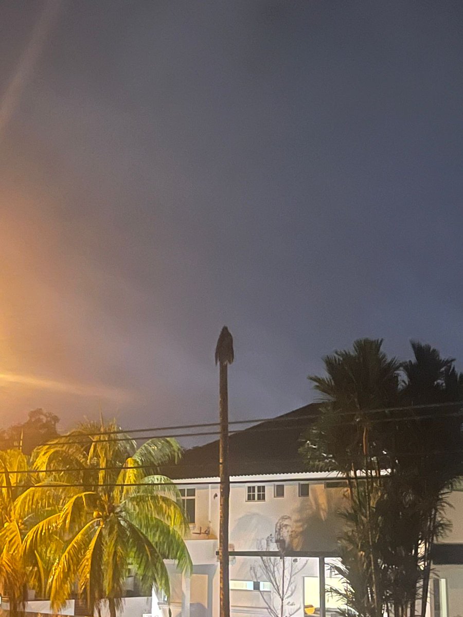 RaynRayyan's tweet photo. My lil brother got spooked last night thinking he saw a ghost outside our house, apparently it was a dead tree 💀💀 https://t.co/4bFHxQ64XC