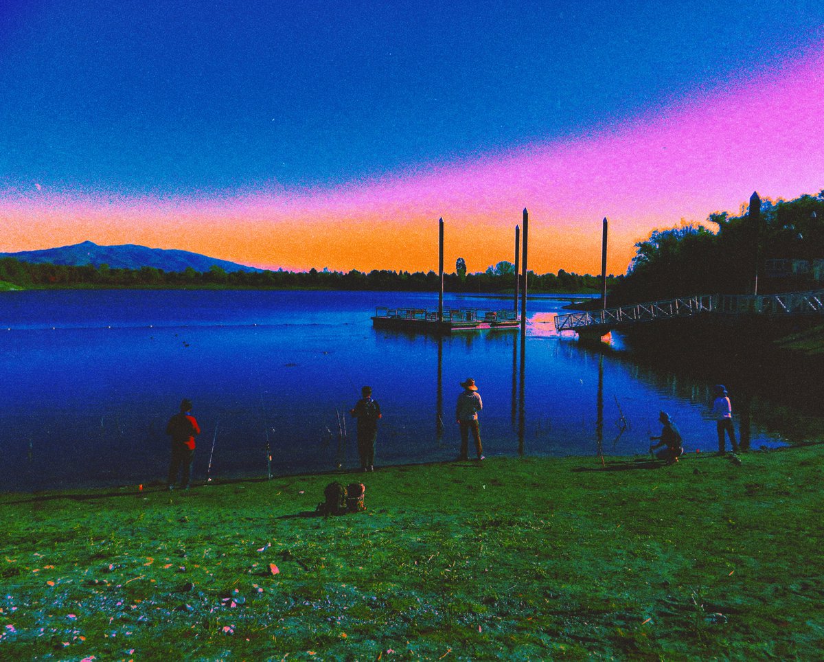 avaaj tweet media