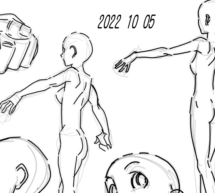 今日から本格始動です 