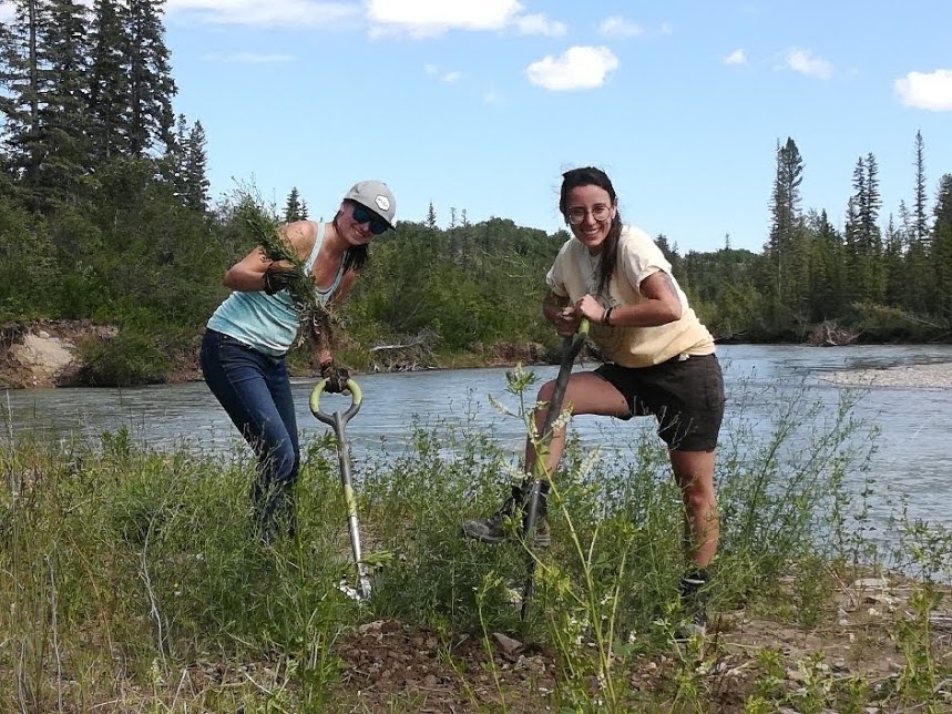 weaselheadpark's tweet photo. We are looking for some last minute volunteers to help with our upcoming weeding workshops:
Tomorrow, October 5, 5-7pm
October 11, 9:30am-1:30pm
Email invasiveplants@theweaselhead.com if interested!
#yyc #volunteer https://t.co/ZgnpS3py3w
