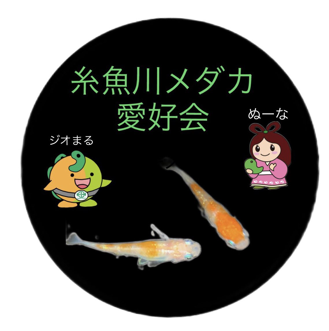 carbons_tuber's tweet photo. 糸魚川市への申請ご相談事項とは
糸魚川市のキャラクターのジオまると、ぬーなをロゴへ使用することでした✨

先程ご連絡頂き、無事許可を頂きました😊 https://t.co/iojXkJ9iCA