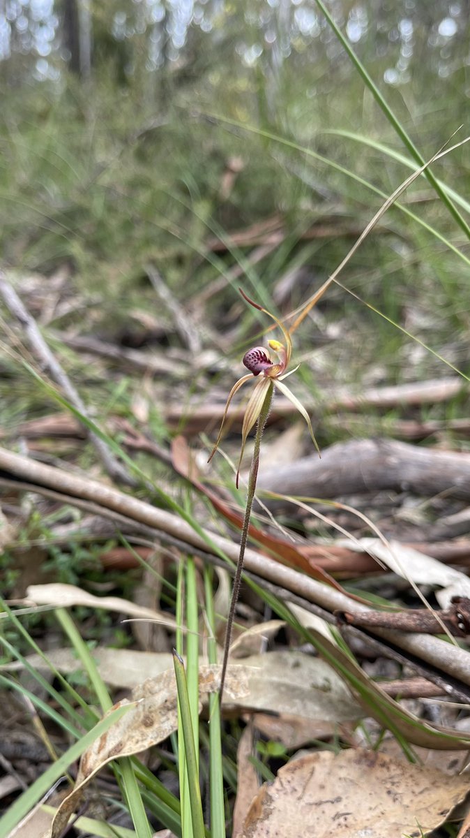 Matt Clancy tweet media